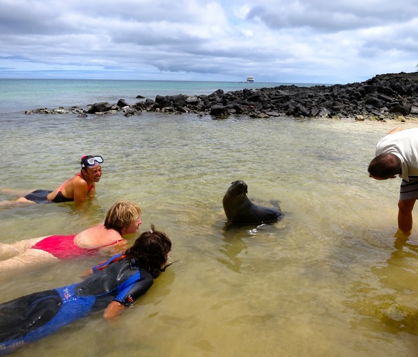 A group forms around the playful sea lion