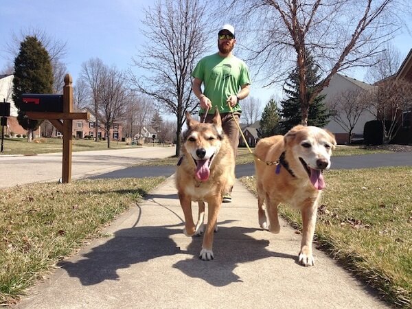 Bear walking with her sister Macy and Brian. March 2014