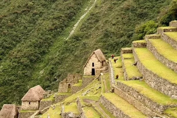 Incan terraces